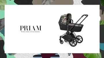 CYBEX Travel system Butterfly PRIAM with Carry Cot