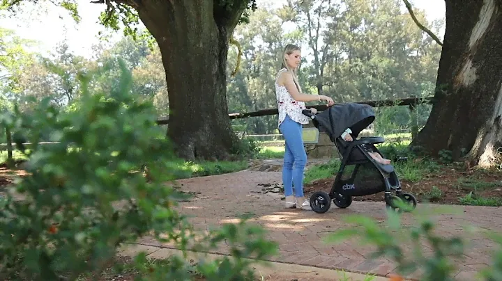 CBX Misu Travel System