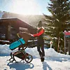 Передние полозья Cybex для колясок Priam