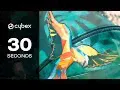 Коляска 3 в 1 Cybex Priam III Birds of Paradise шасси Chrome Black, Birds of Paradise (Темно-зеленый с узором)
