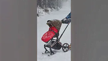 🎿 Cybex Priam Skies 2022 🎿Лижі Сайбекс для візочка