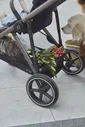 Cybex коляска 2 в 1 Gazelle S TPE, Moon Black