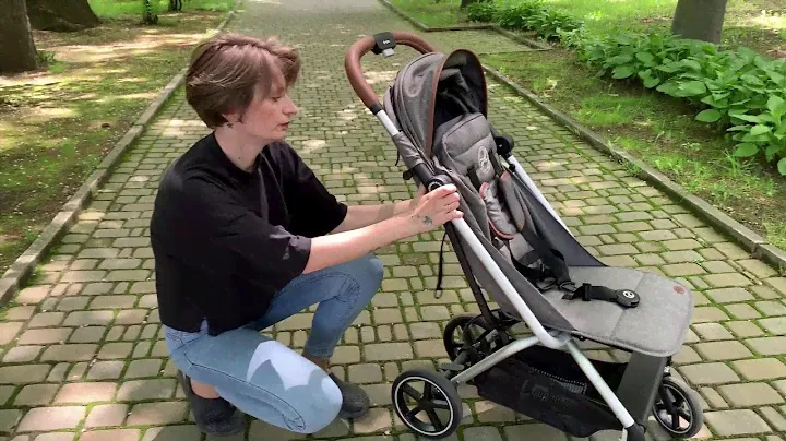 cybex eezy s plus