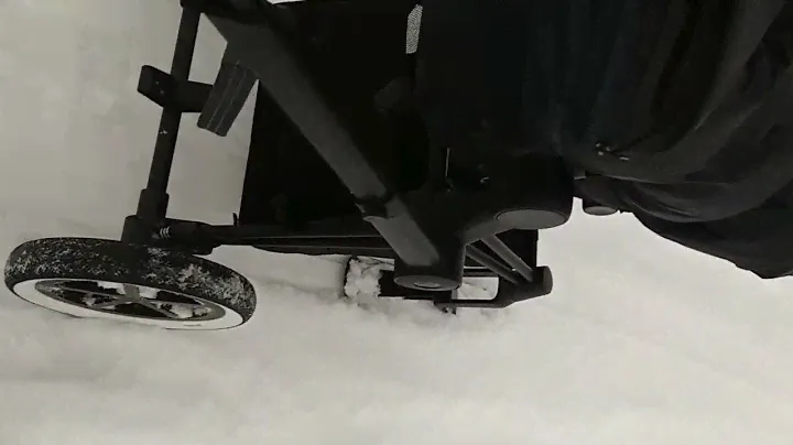 Лыжи Cybex Priam lll, lux тест на снегу 01.01.22