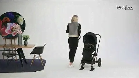Лижі Cybex Priam