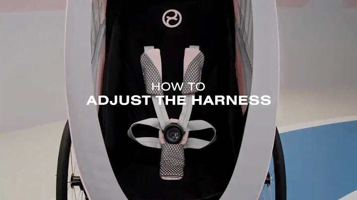 CYBEX ZENO - Child Harness